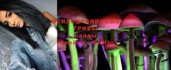 mdpv Алзамай
