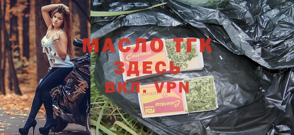мет Алексин
