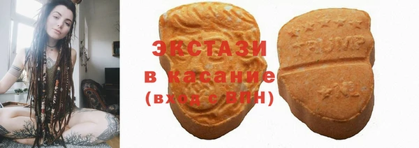 мет Алексин
