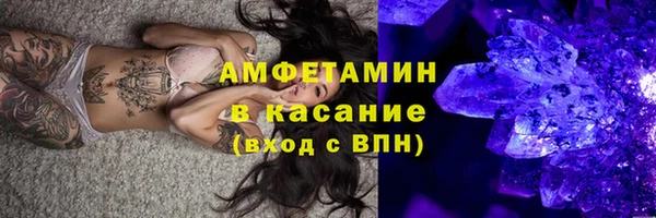мет Алексин