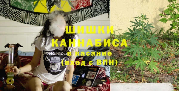 мет Алексин