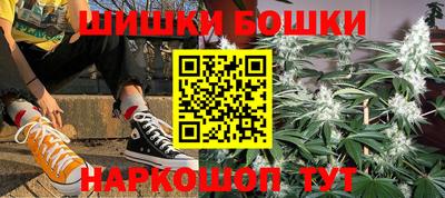 сатива Будённовск