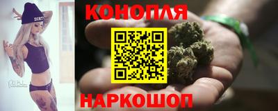 сатива Будённовск