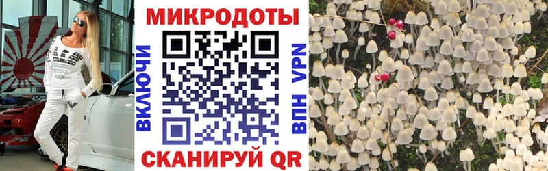 Псилоцибиновые грибы GOLDEN TEACHER хочу наркоту Канаш