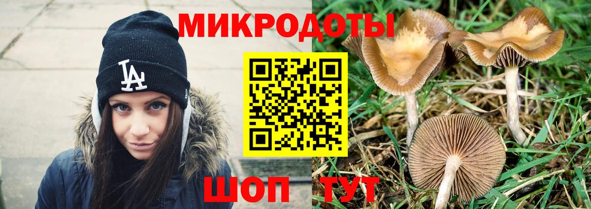 Канаш  Галлюциногенные грибы мухоморы  Вход с VPN 