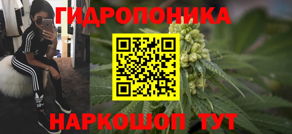 Каннабис семена Канаш
